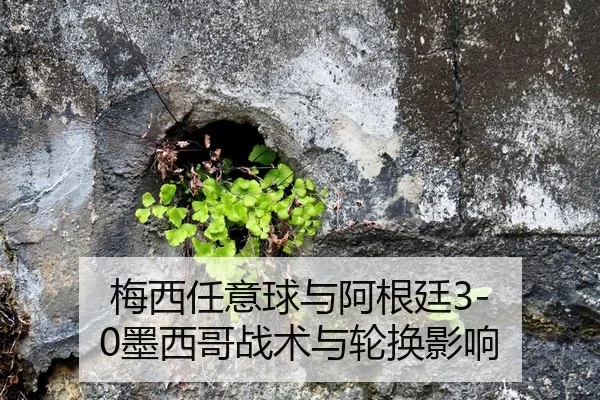 梅西任意球与阿根廷3-0墨西哥战术与轮换影响