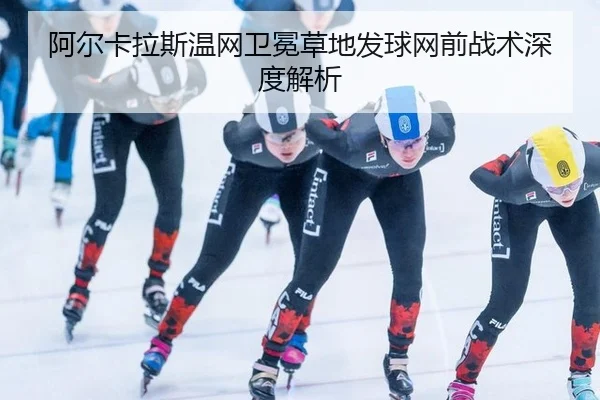 a-er-ka-la-si-wen-wang-wei-mian-cao-di-fa-qiu-wang-qian-zhan-shu-shen-du-jie-xi-3-393.jpg